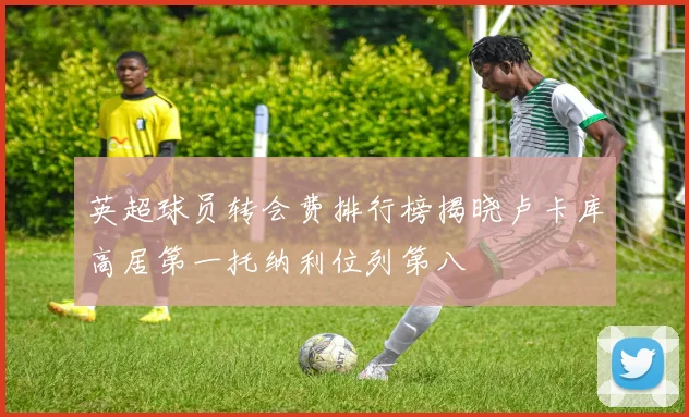 英超球员转会费排行榜揭晓卢卡库高居第一托纳利位列第八