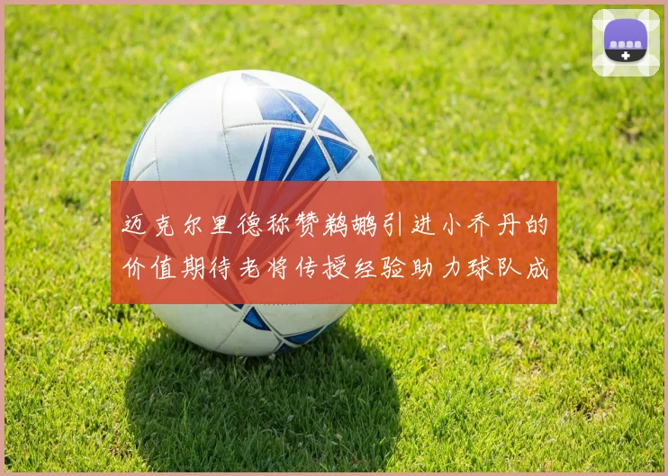 迈克尔里德称赞鹈鹕引进小乔丹的价值期待老将传授经验助力球队成长