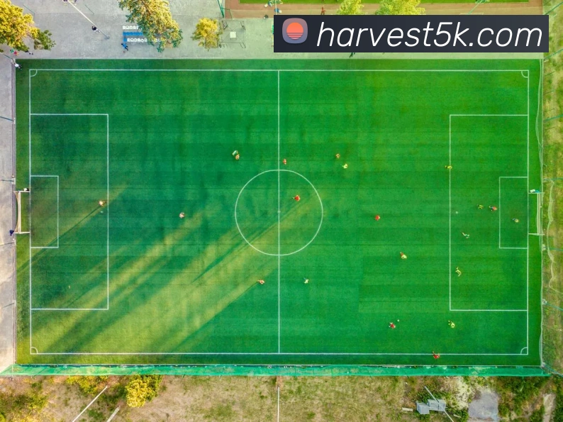 多彩内容专区