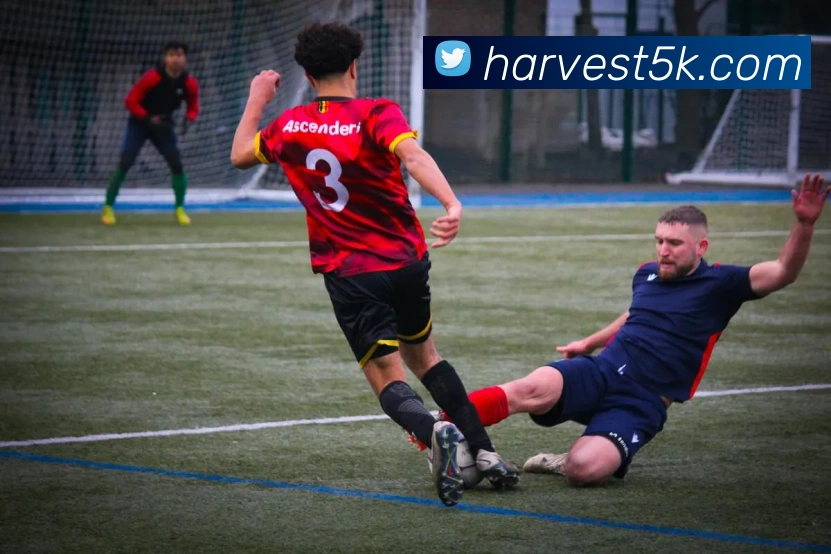奖项证书